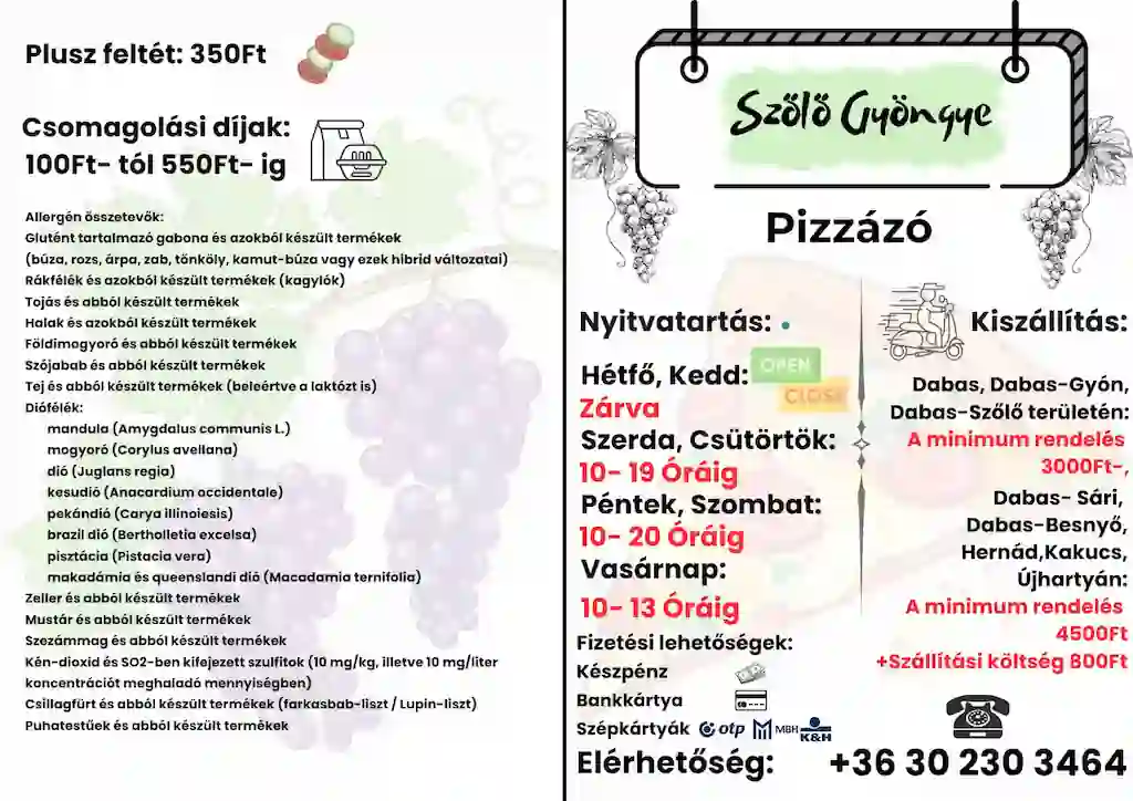 Szőlő Gyöngye Pizzéria étlap dizájn